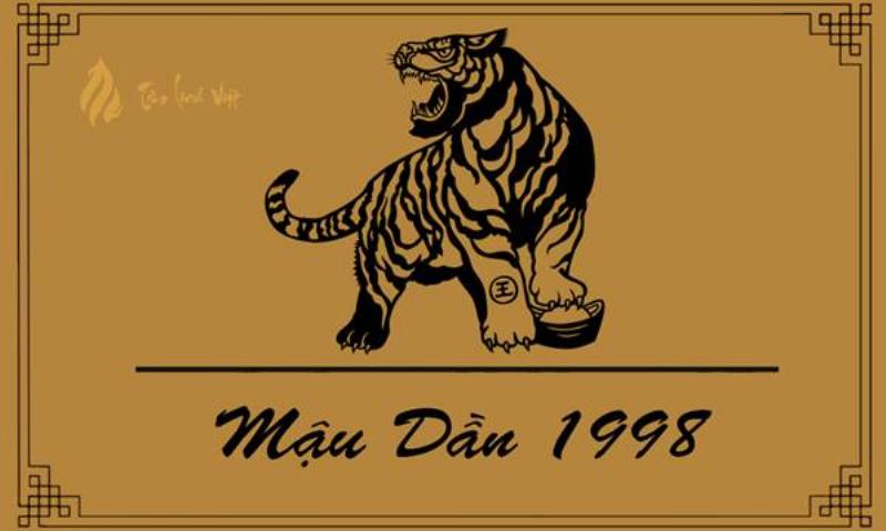 Tình Duyên Tuổi Dần 1998 Nam Mạng: Tìm Kiếm Hạnh Phúc