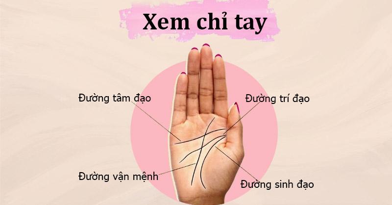 Các Đường Chỉ Tay Và Các Gò