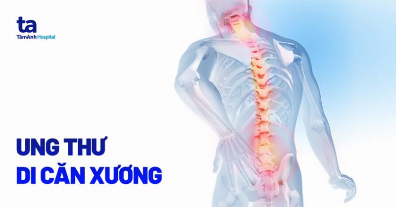 Nguyên Lý Hoạt Động Của Cân Xương Tính Số