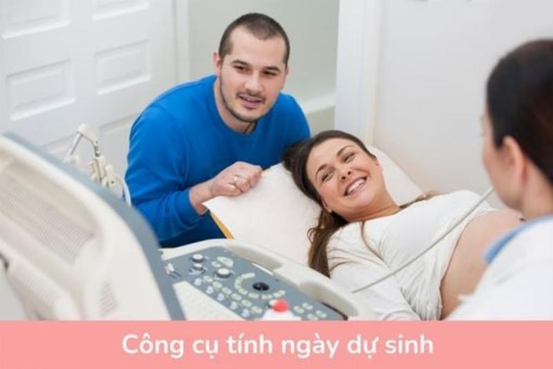 Công Cụ Tính Ngày Trực Tuyến