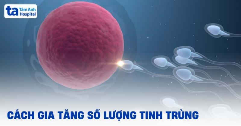 Lời khuyên cho việc tính trùng tang