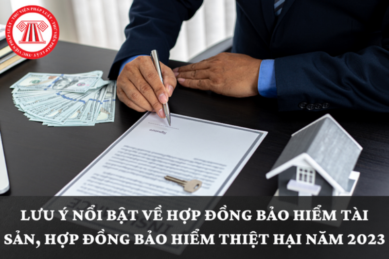 Lưu Ý Xem Bói 2022