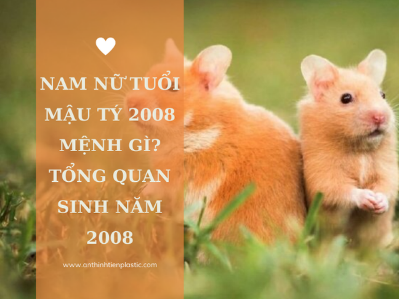 Tuổi Mậu Tý 2008 sinh tháng nào tốt?