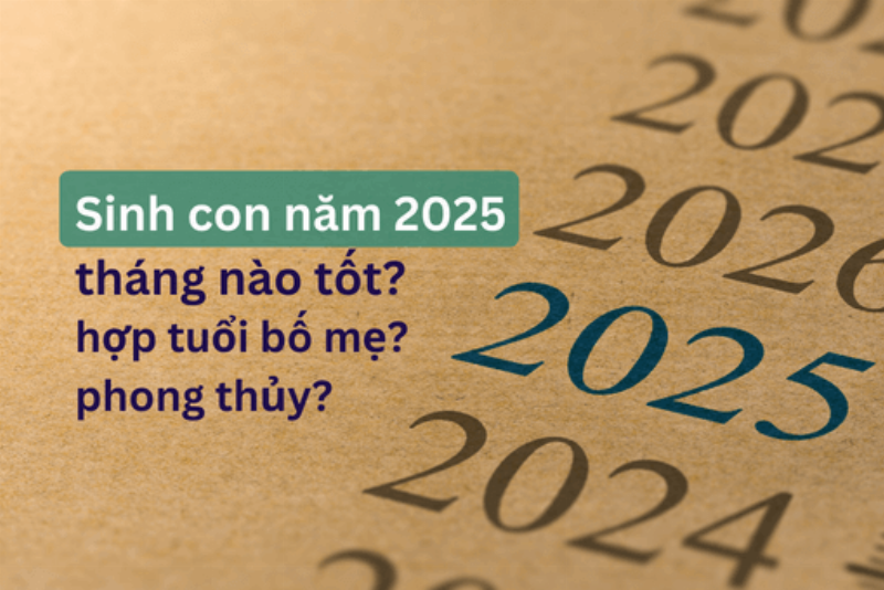 Ngày Đẹp Tháng 8 Năm 2023 Tuổi Tỵ