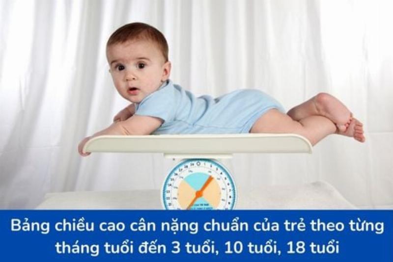 Biểu đồ ngũ hành cho bé sinh tháng 11 năm 2019