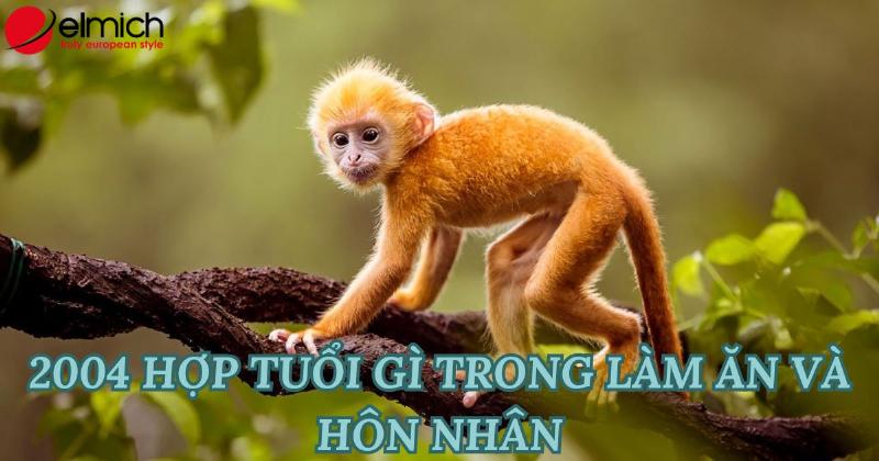 Tài lộc tuổi Giáp Thân 2004 nữ mạng