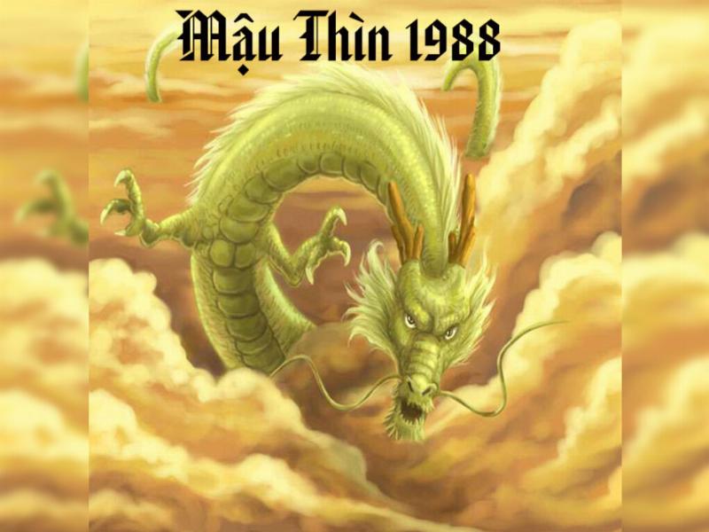 Tài lộc tuổi Thìn 1988