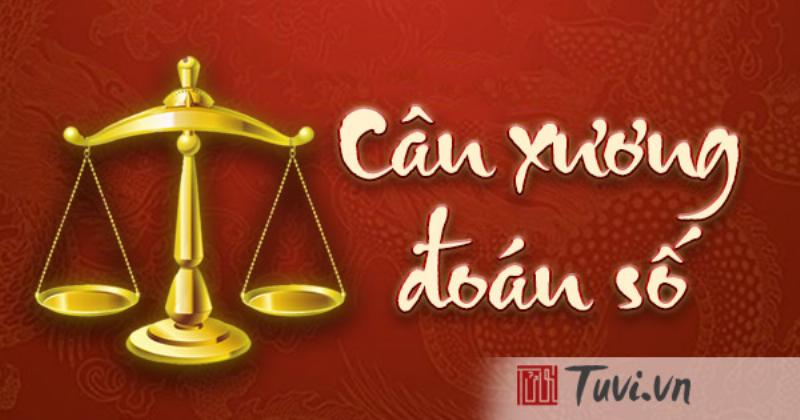 Tính cân lượng chỉ trong lá số tử vi