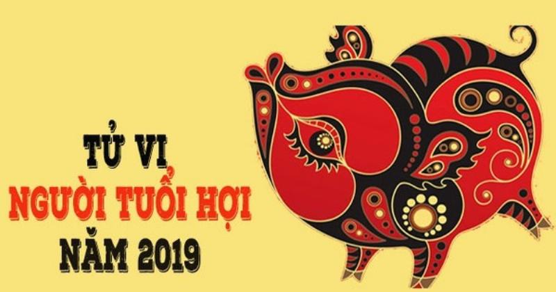 Tổng quan tử vi năm 2019 Kỷ Hợi