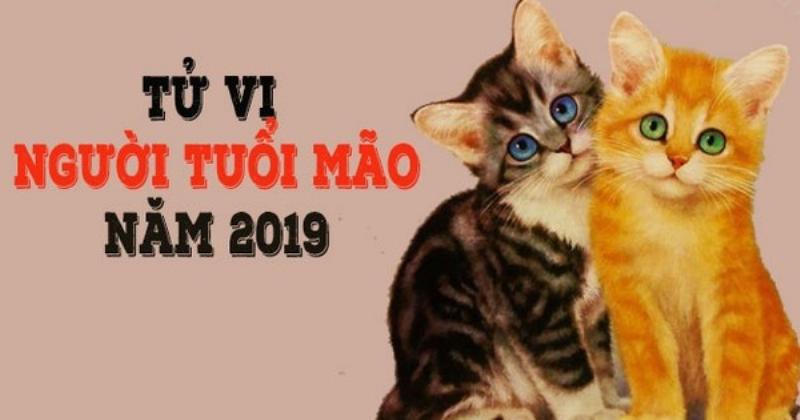 Tử vi Đinh Mão 1987 nam nữ mạng 2019