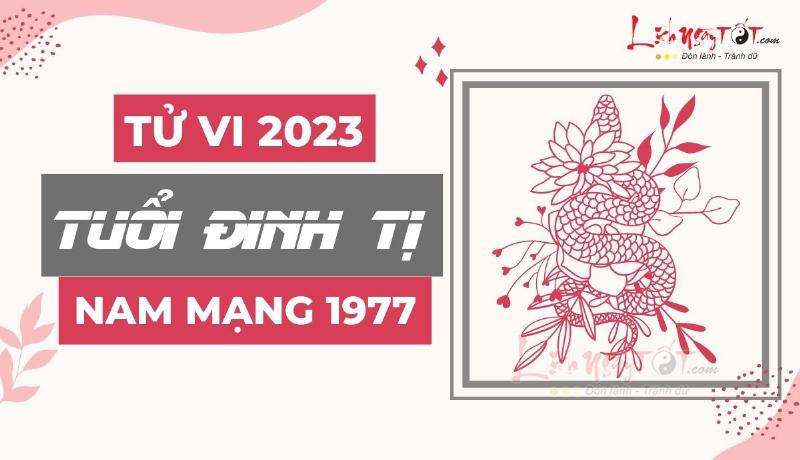 Tử vi Đinh Tỵ 1977 nam mạng 2023