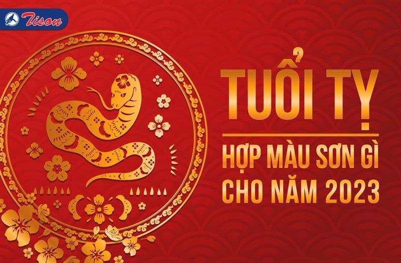 Tử vi Đinh Tỵ nam mạng tuổi hợp 2023