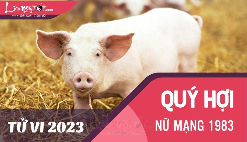 Tử vi quý hợi nữ mạng năm 2023 - Lời khuyên