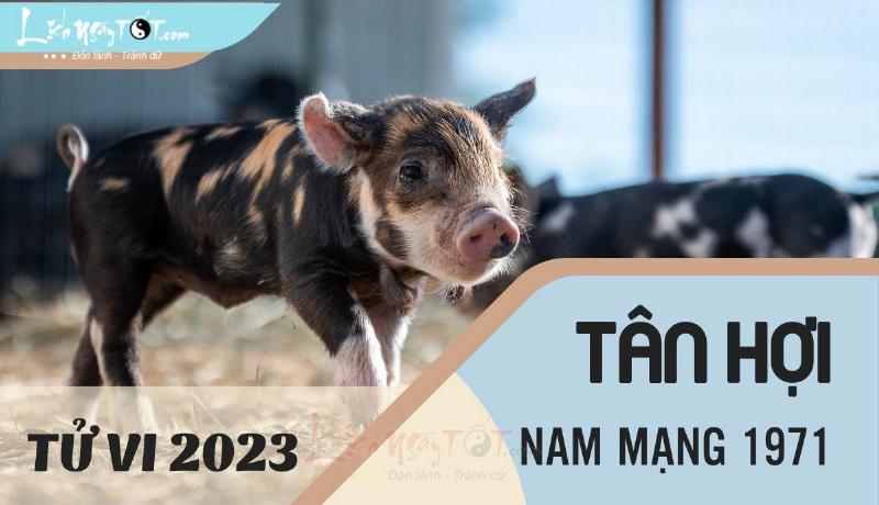 Tử vi Tân Hợi nam mạng lưu ý 2023