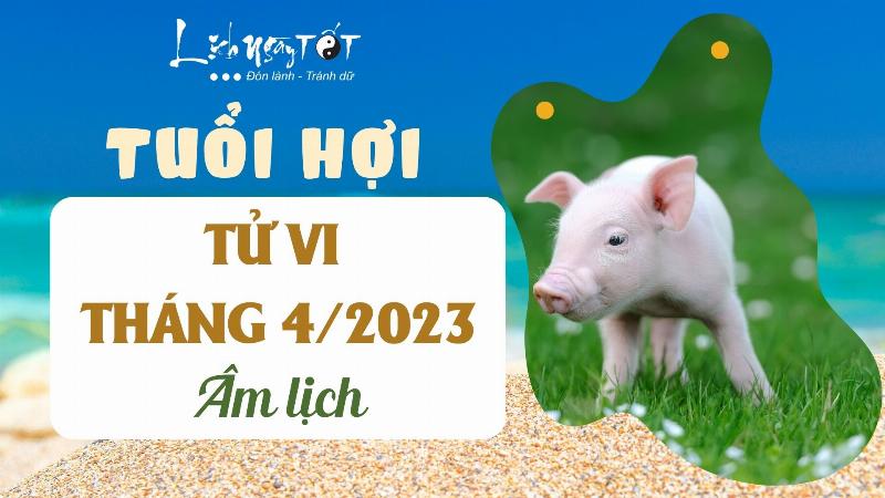 Tử Vi Tháng 4 Âm 2023 Tuổi Hợi