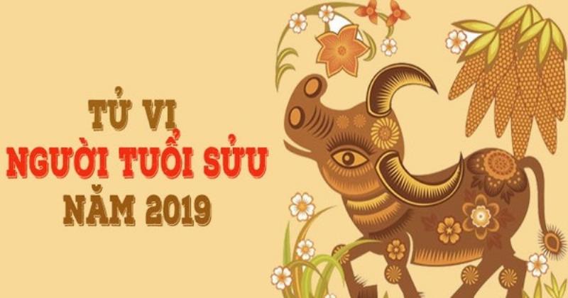 Tử vi tuổi Sửu năm 2019