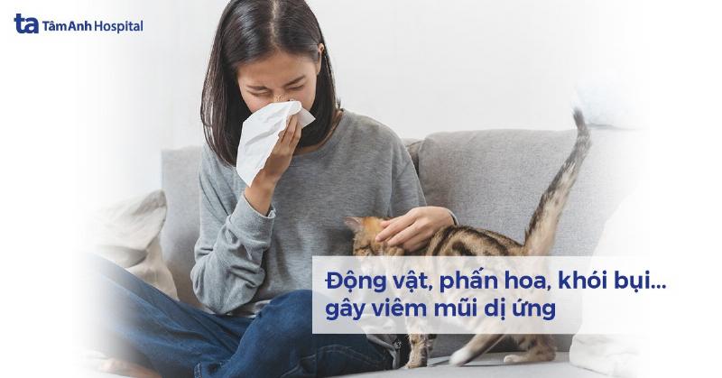 Hắt xì hơi buổi tối: Suy tư miên man