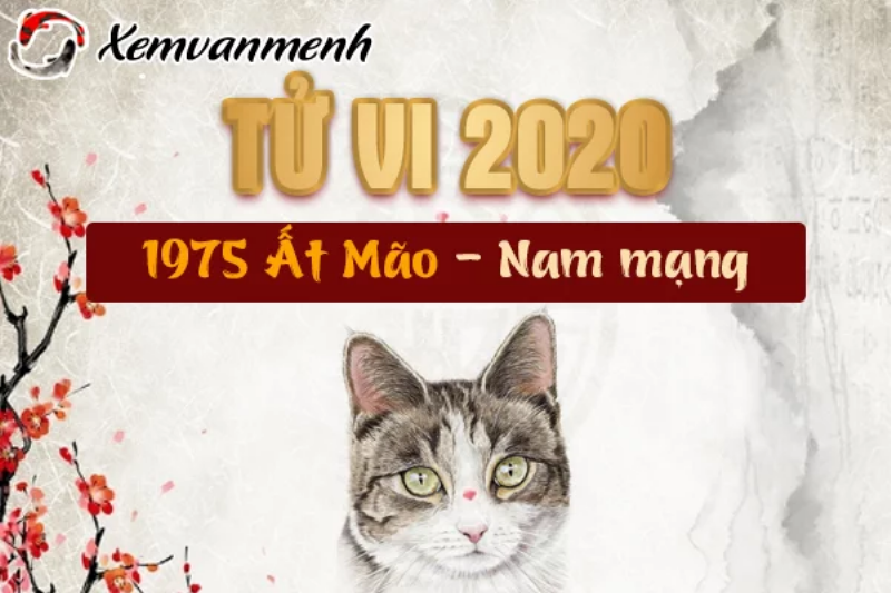 Kết Luận Xem Tử Vi Ất Mão 2020