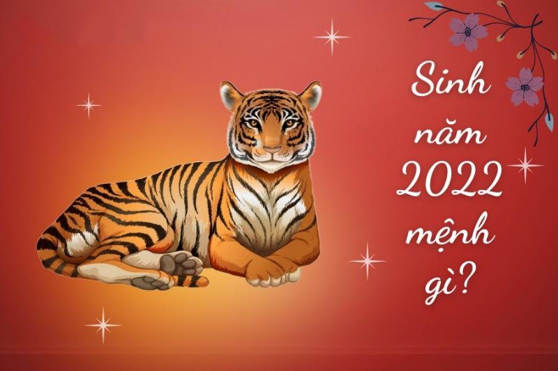 Nhâm Dần 2022 Nữ Mạng Sức Khỏe