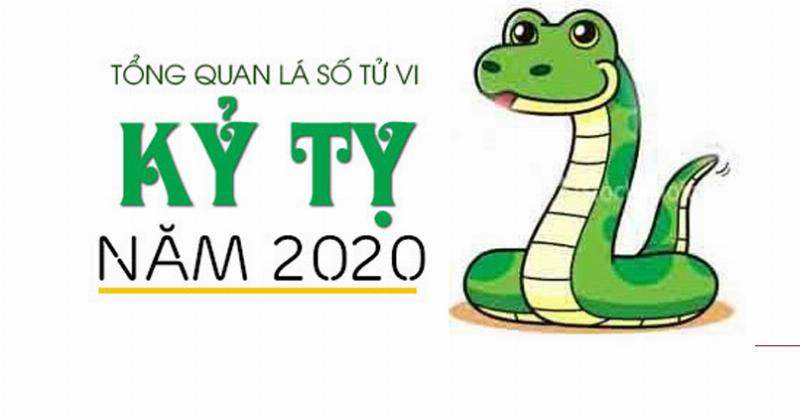 Phong thủy Snake 2020