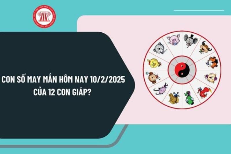 Số may mắn 12 con giáp hôm nay