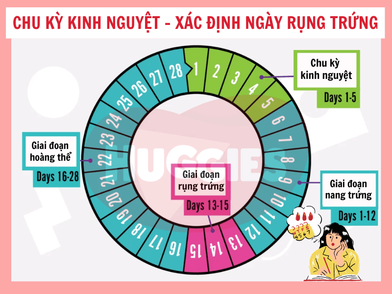 Tìm thông tin chính xác ngày tốt