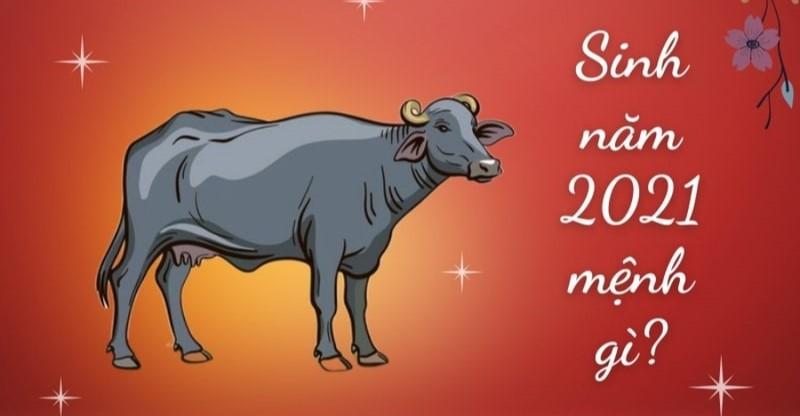 Mạng nam Zodiac 2021: Sự giàu có