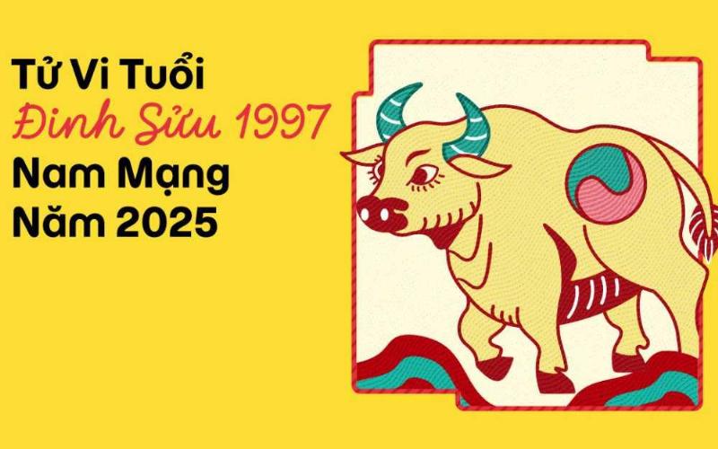 Tử vi Đinh Sửu 1997 nam mạng tài chính