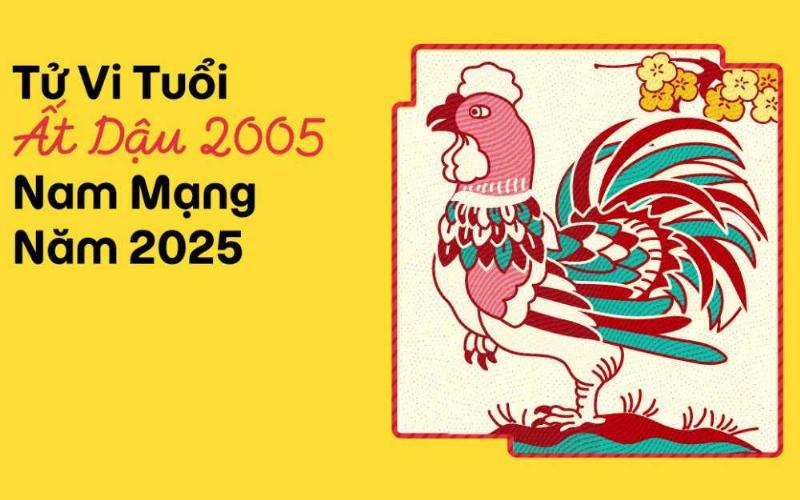 Nghiên cứu về tử vi đã học trong Dậu 2005