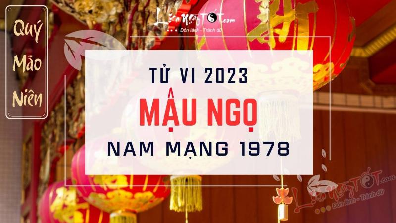 Tử Vi Mậu Ngọ Nam Mạng 2023 Tổng Quan