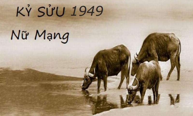 Tử vi cho nghề ox năm 1949 sẽ diễn ra vào năm 2021