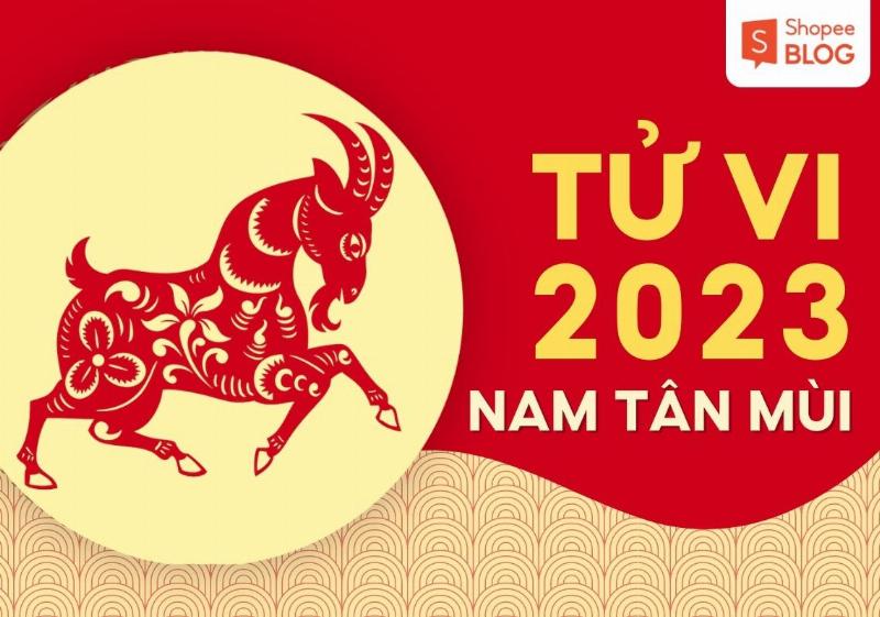 Tử Vi Tân Mùi 2023 Tổng Quan