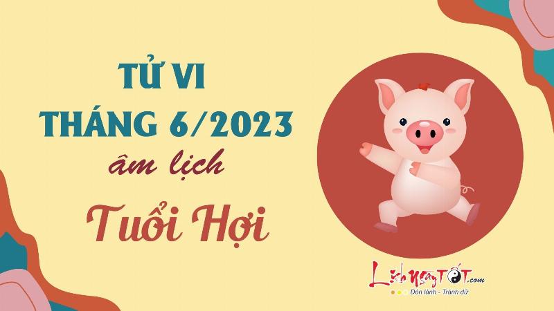 Tử Vi Tháng 6 Âm 2023 Tuổi Hợi