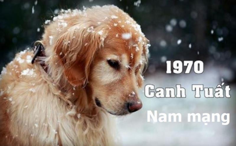 Tử vi trọn đời Canh Tuất 1970 tổng quan