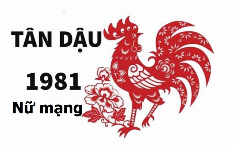 Tử vi trọn đời Tân Dậu 1981 nữ mạng: Tổng quan