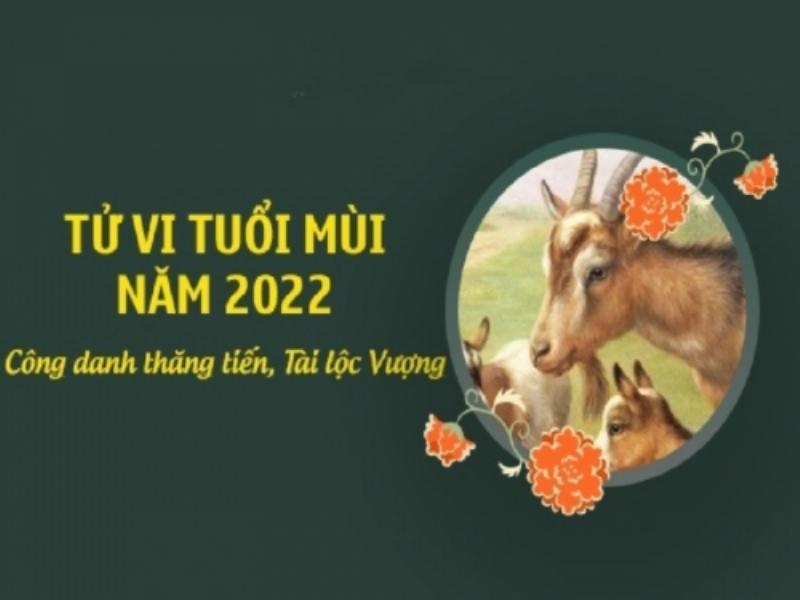 Tử Vi Tuổi Mùi 2022 Tổng Quan