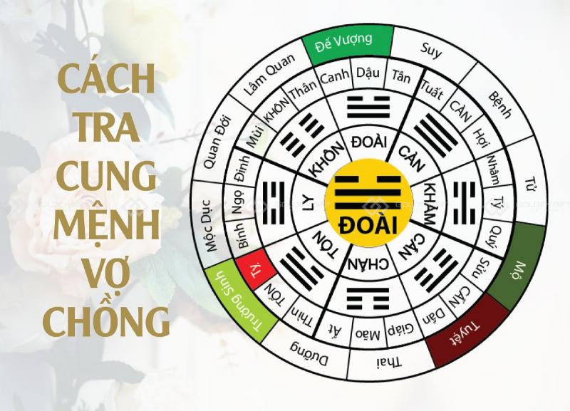 Xem Tuổi Vợ Chồng Theo Cung Mệnh:  Tìm Hiểu Sự Tương Hợp