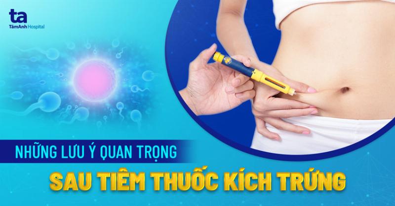 Ảnh hưởng của Lưu Tang Môn gặp Lưu Thiên Mã đến các Cung Hoàng Đạo