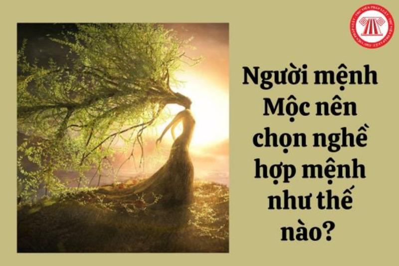 Định hướng nghề nghiệp mệnh Mộc