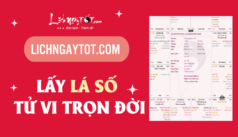 Ý nghĩa giải lá số tử vi trực tuyến miễn phí