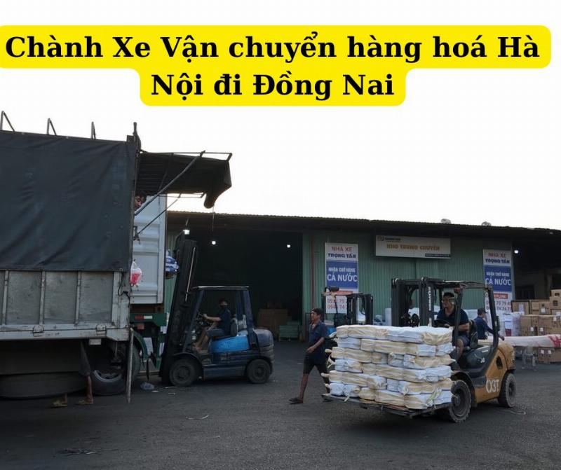 Tiến sĩ Dong Nai Dong Nai