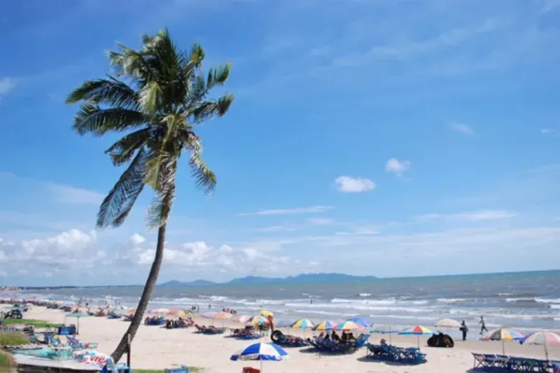 Lên kế hoạch đến Vung Tau