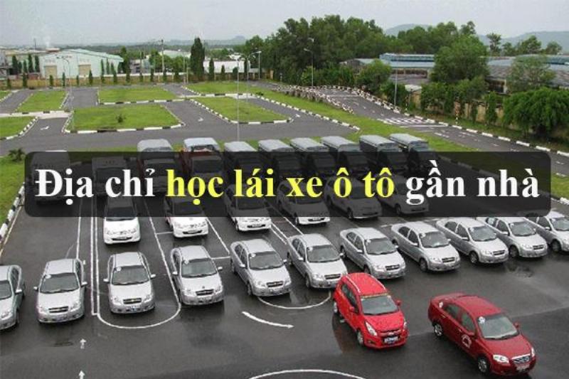 Kinh nghiệm của Vinh Bao Hai Phong