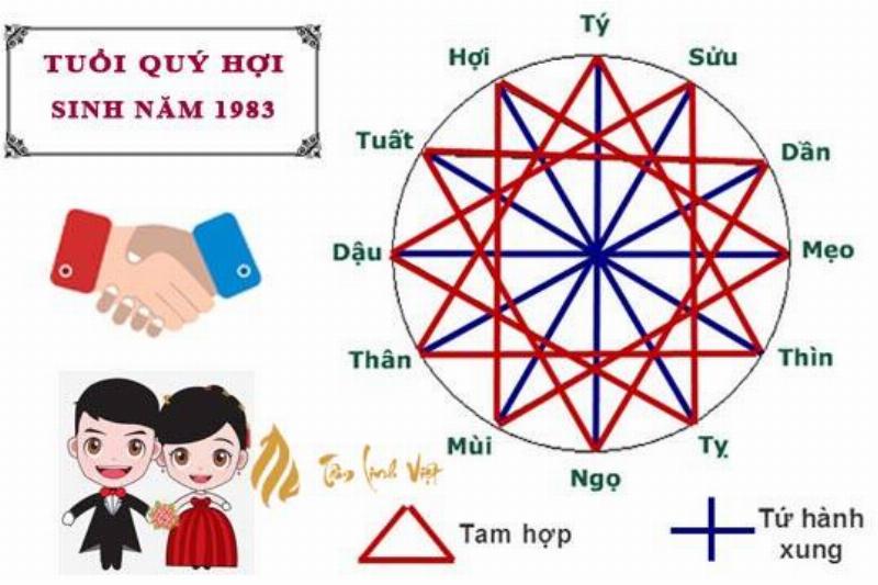 Sức Khỏe Tuổi Hợi 1983 Năm 2024