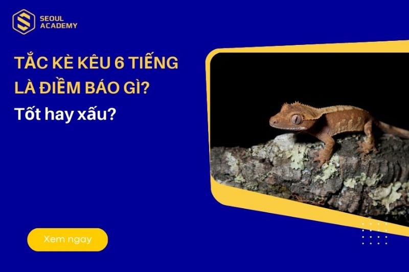 Chameleon đã khóc trong 6 giờ: ý nghĩa của nó trong dấu hiệu