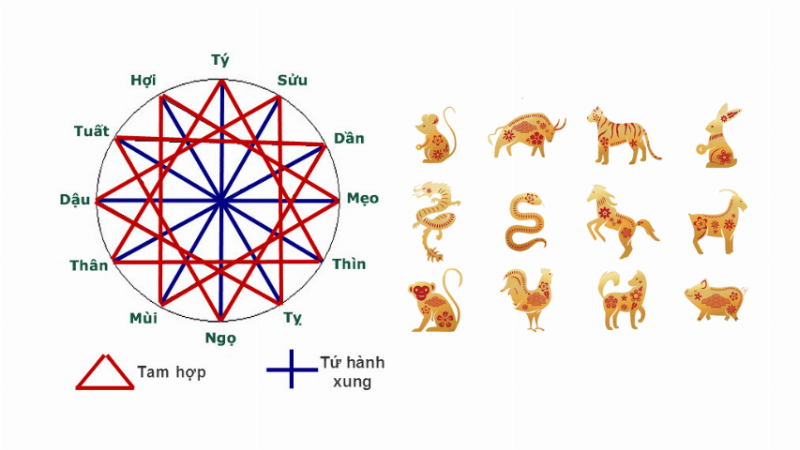 Ứng dụng Tam Hợp Tứ Hành Xung trong Cuộc Sống