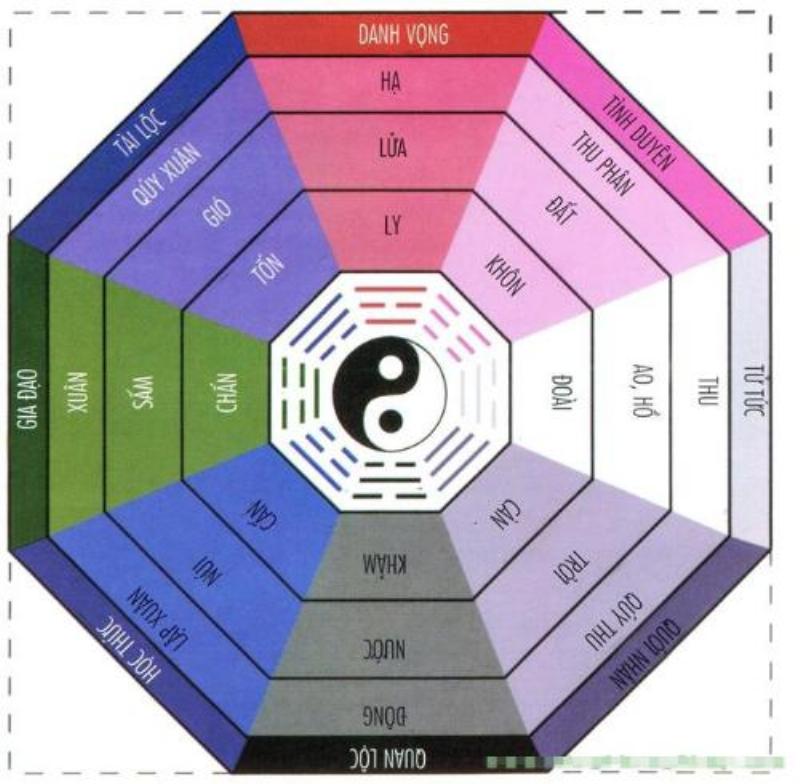 Ứng dụng tử cung trong cuộc sống