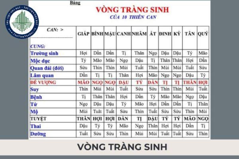 Ứng Dụng Vòng Trường Sinh trong Cuộc Sống