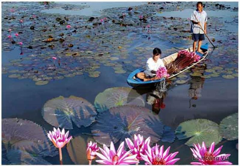 Hình ảnh nhộn nhịp của chợ nổi Cái Răng ở Cần Thơ vào buổi sáng sớm, với thuyền bè tấp nập mua bán các loại nông sản và hàng hóa.