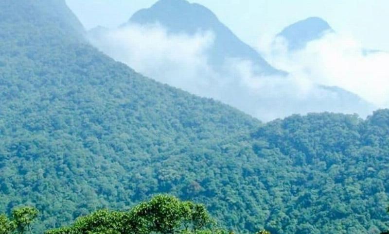 Hình ảnh đường đèo dốc từ Hà Nội lên Tam Đảo, thể hiện độ khó và cảnh đẹp